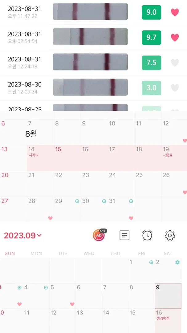임테기 언제하면 좋을까요..??