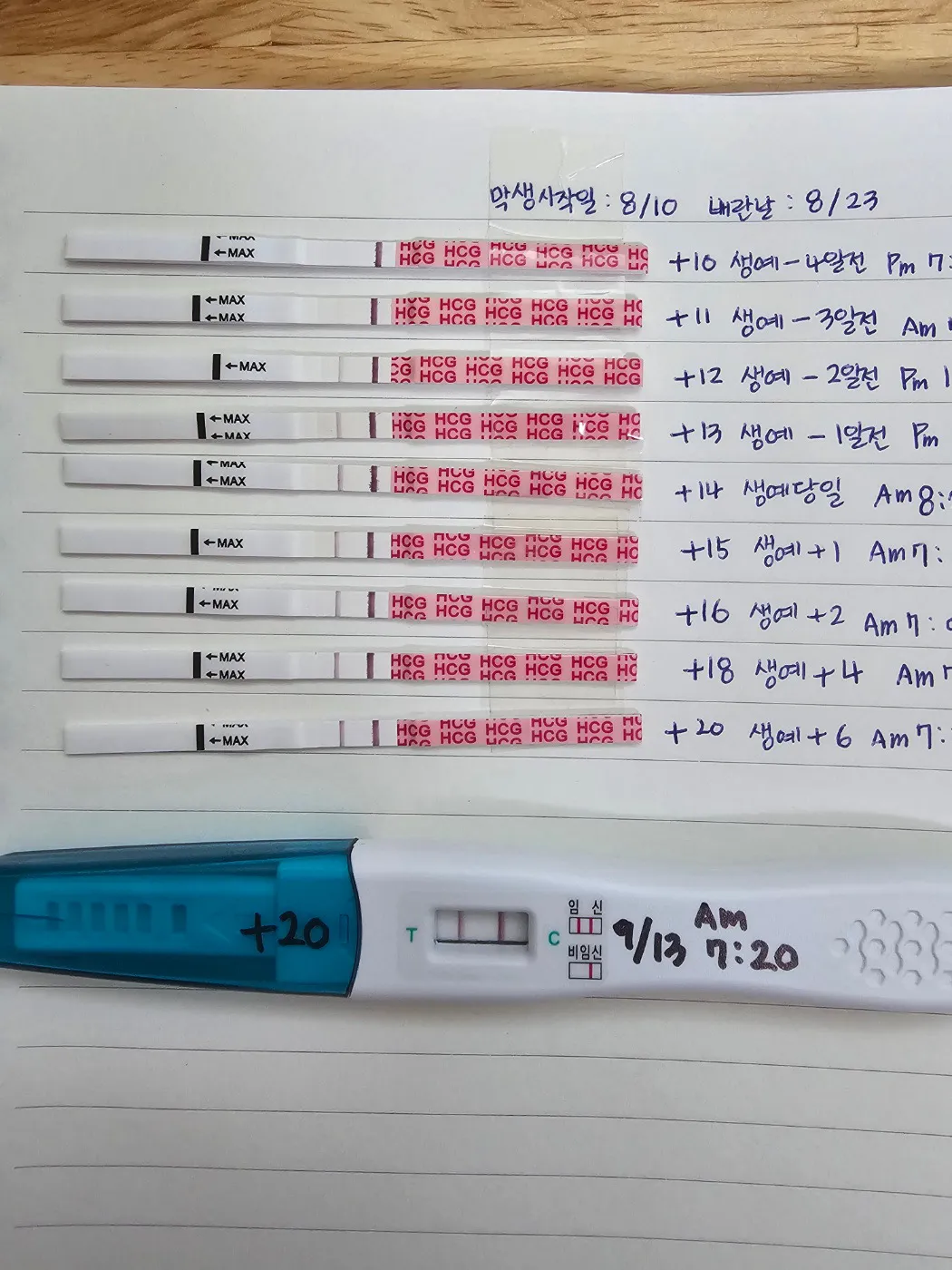 진하기좀 봐주세요ㅠㅠ