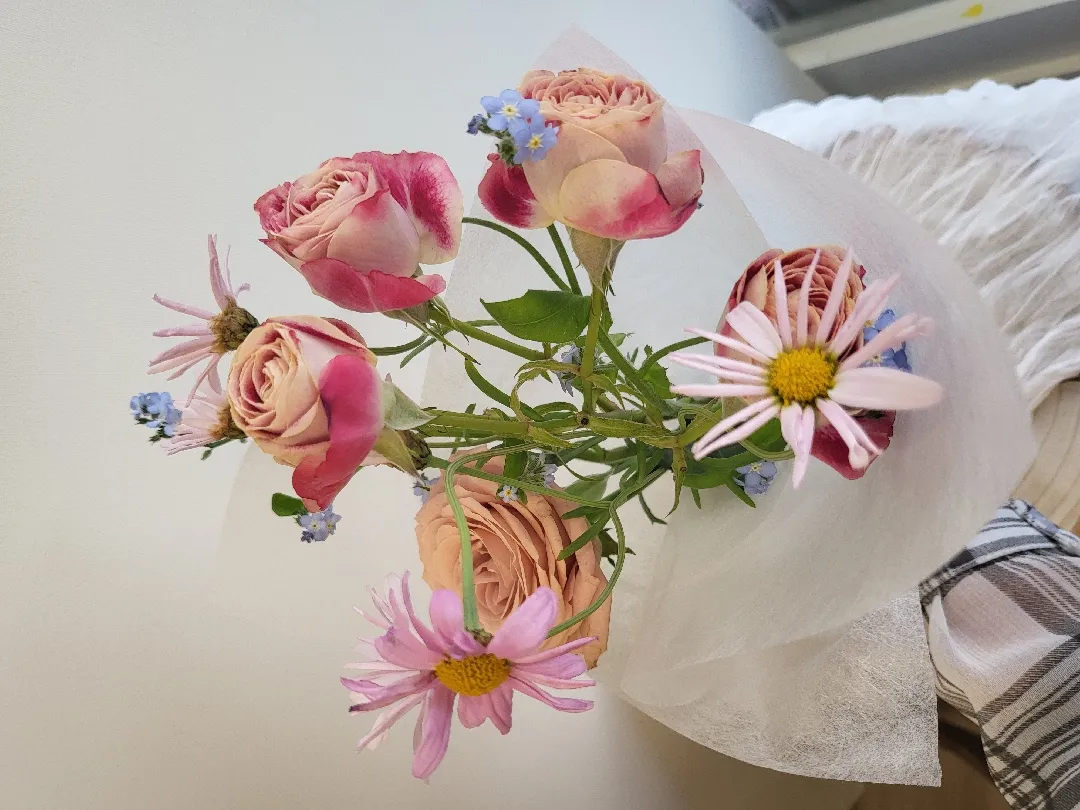 봄이네요^^