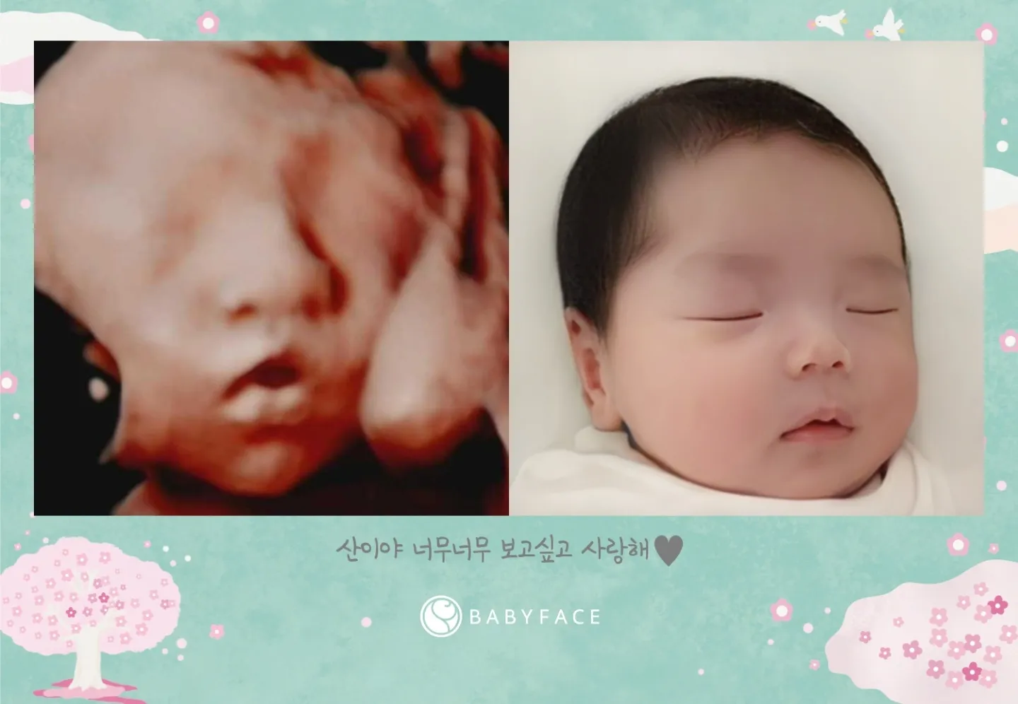 울아들 베이비페스예요 ❤