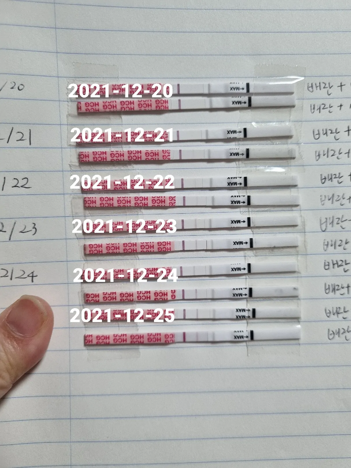 잘진해지고있는건지 한번만 봐주세요
