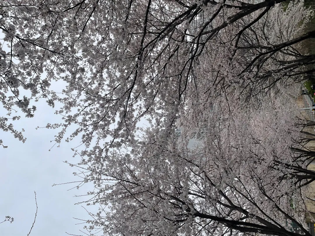 나오길 잘했네용