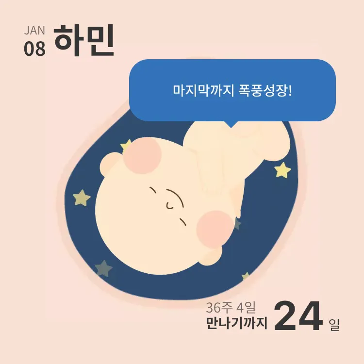 여러분들은 몇주차에요?