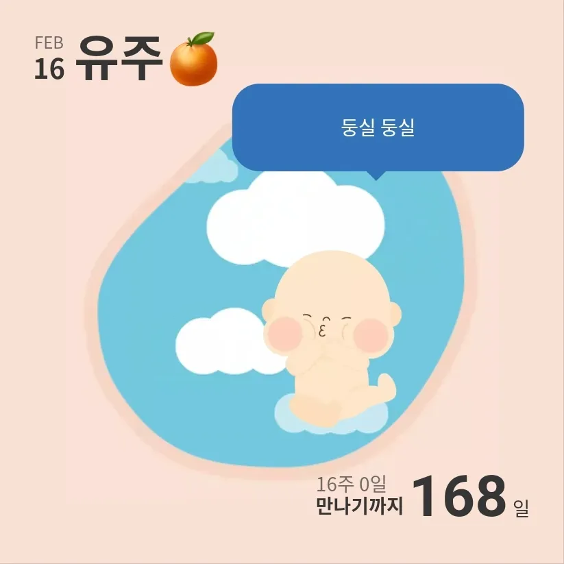 벌써 16주차, 😆 입맛&요즘 뭐 드세요?