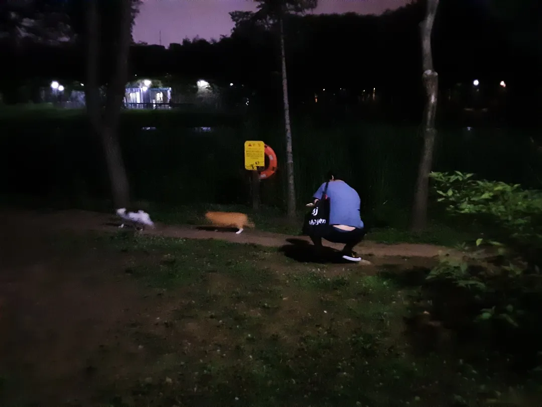 언제까지 밤산책 나갈 수 있을까요 ㅎㅎ