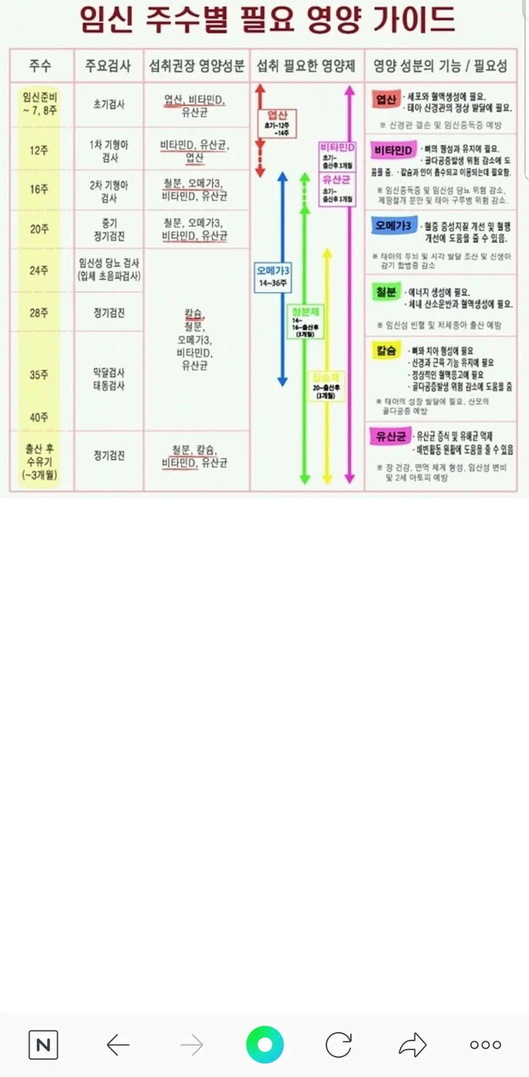 영양제 관련 글 보고 공유