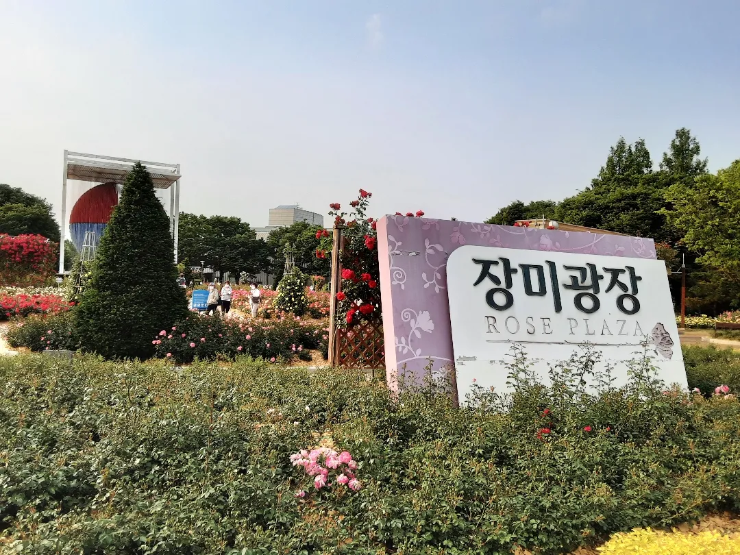 장미축제중 🌹 걸어보아요ㅋㅋㅋㅋㅋ