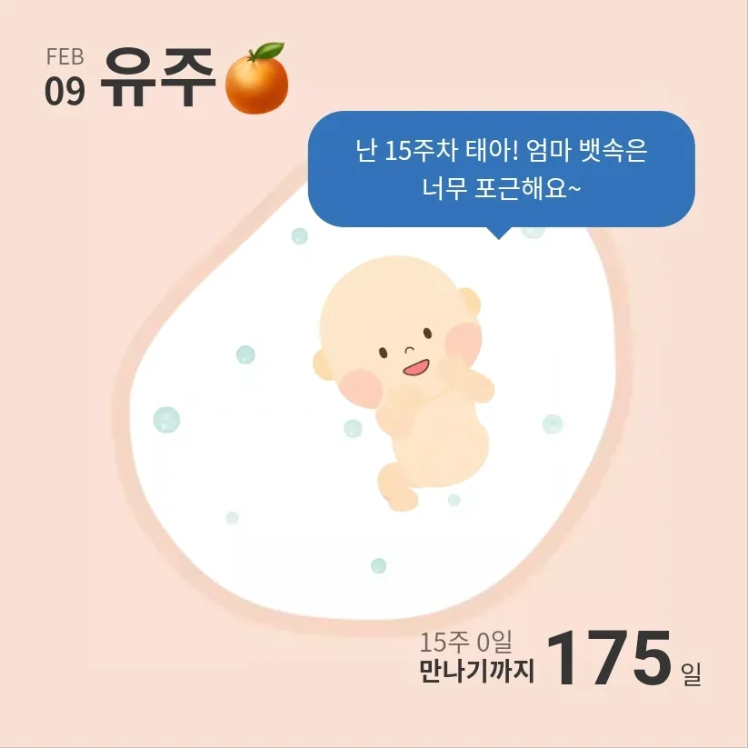 시간이가네요, 15주차 그림커졌네요~*(긴글주의)