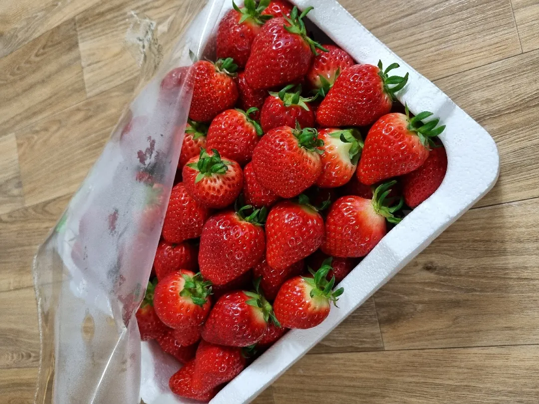 논산딸기 🍓