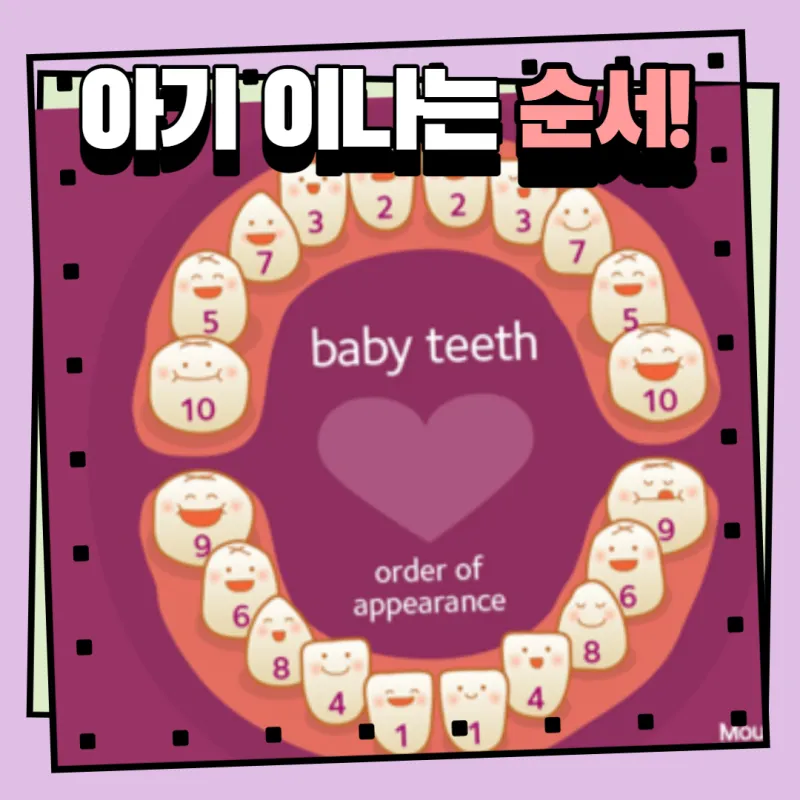 이 나는 순서