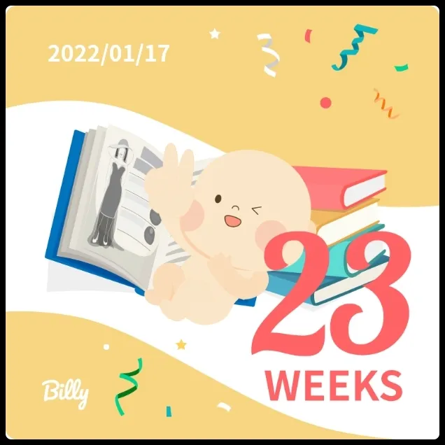 23주차 0일시작