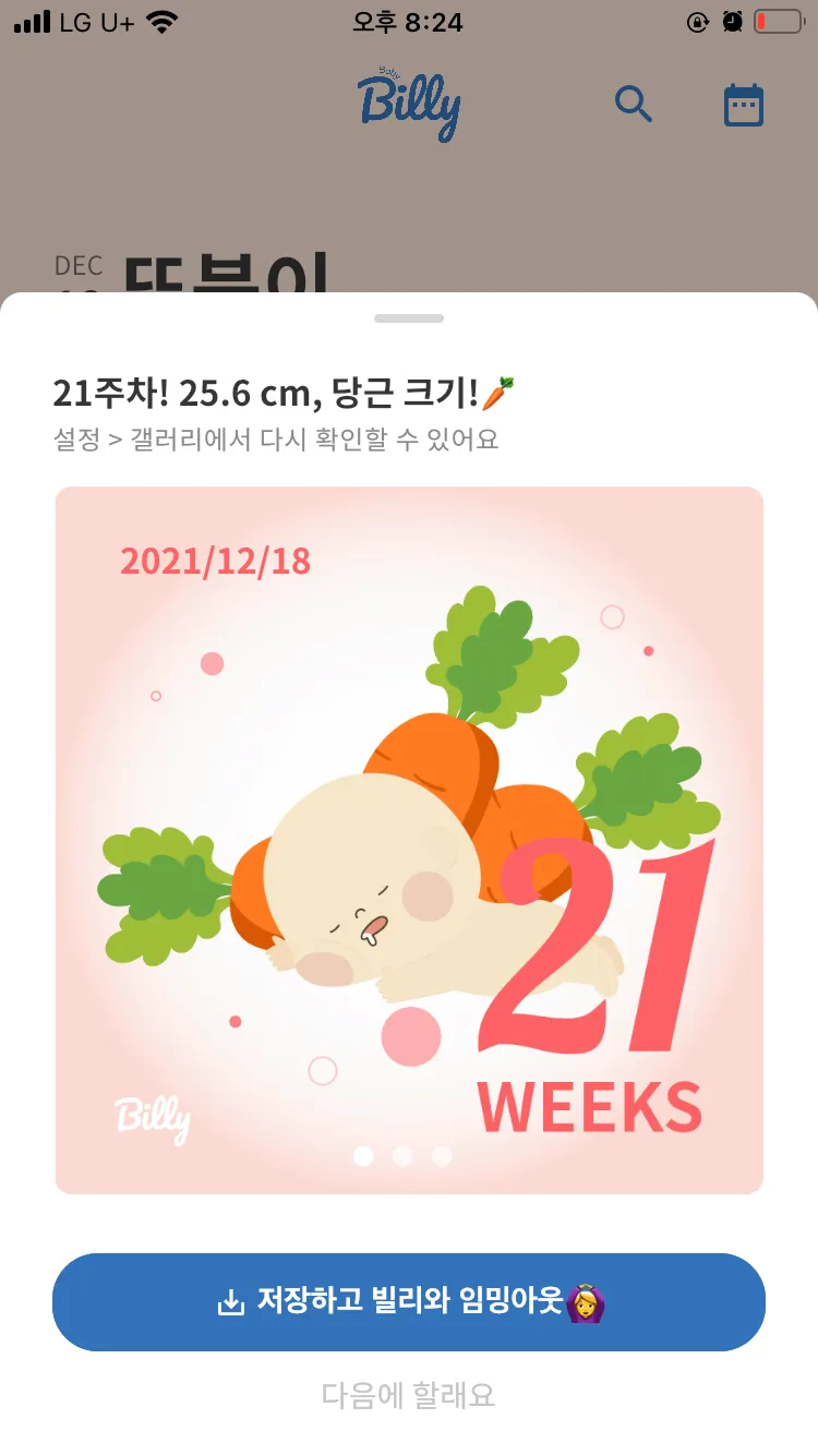 21주 아기크기 25.6??