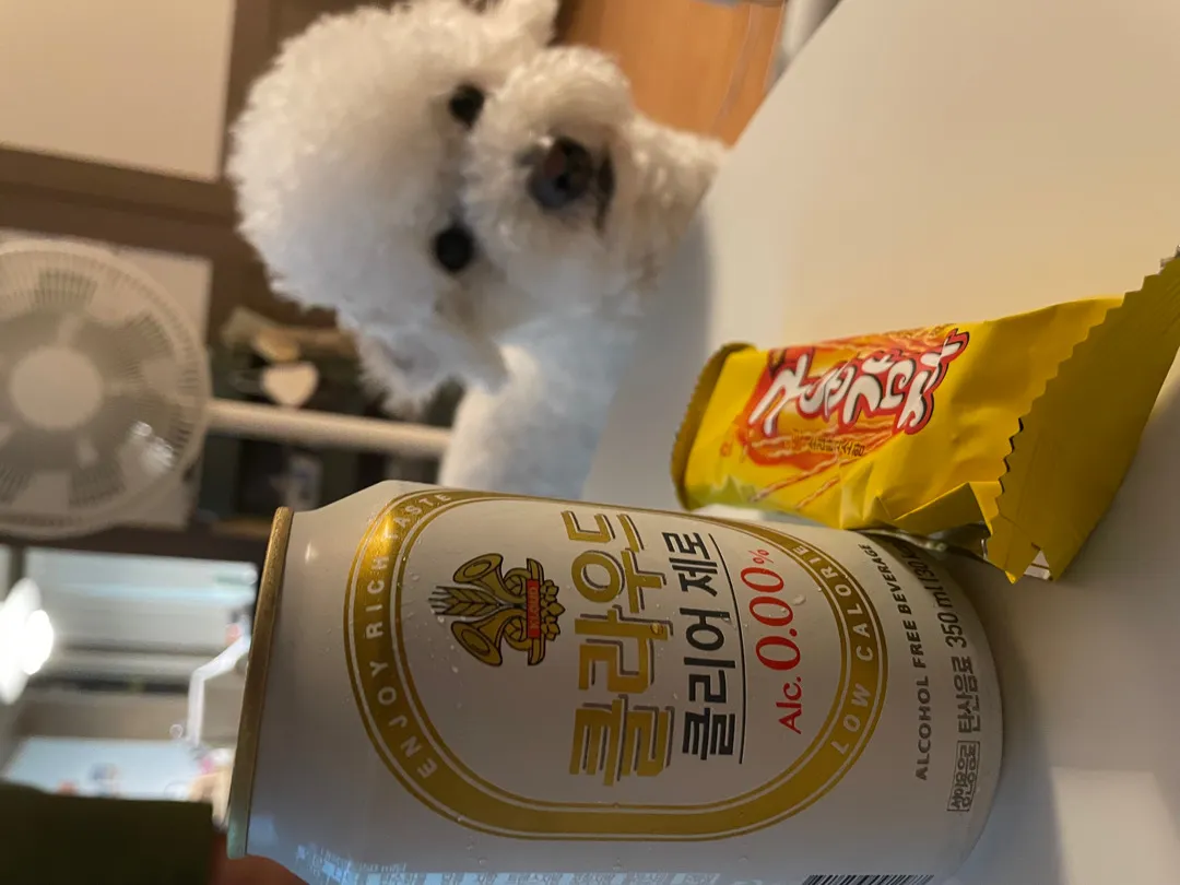 모유수유중 알콜이 땡겨 마시는 무알콜맥주