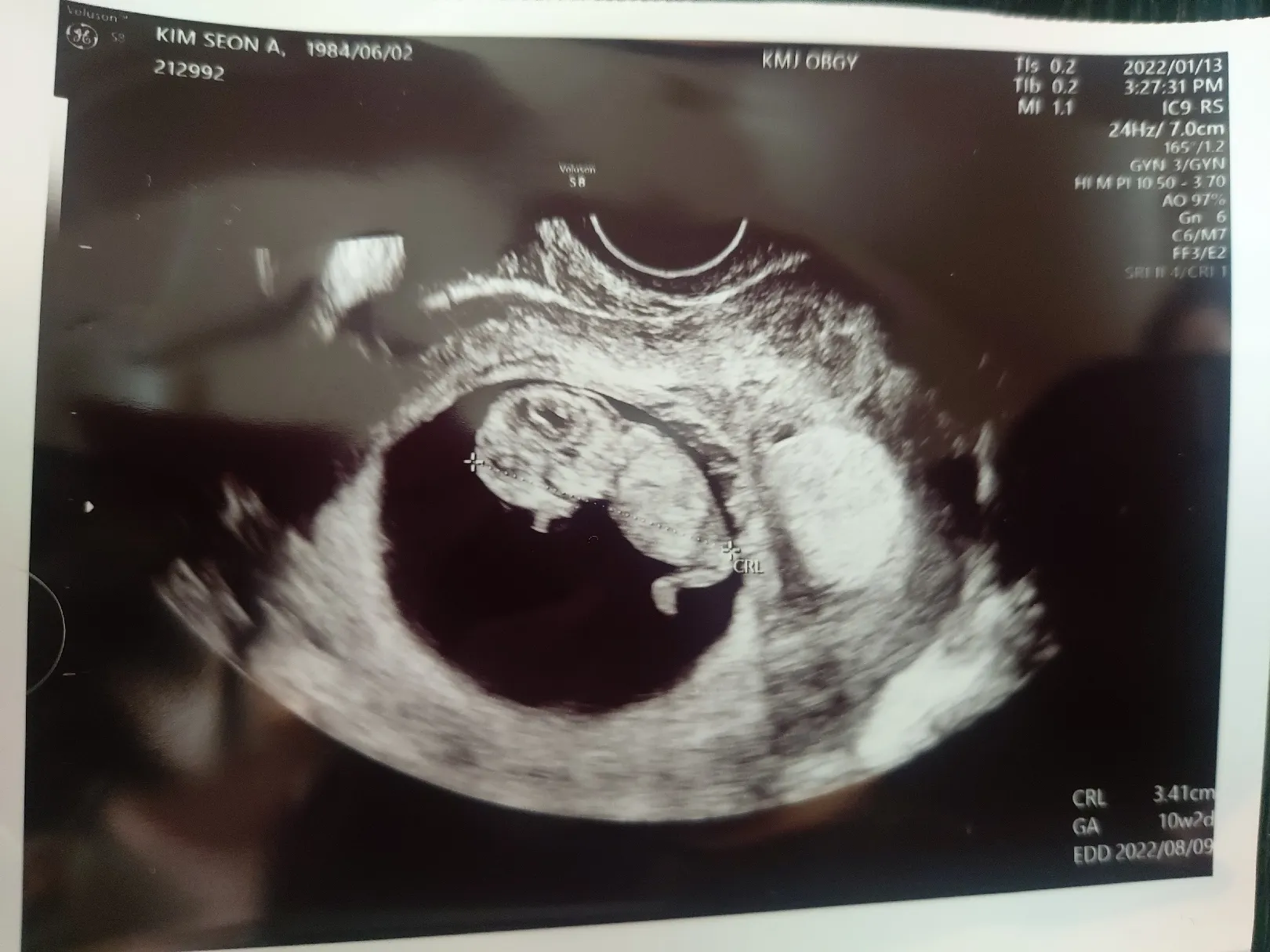 하리보👶