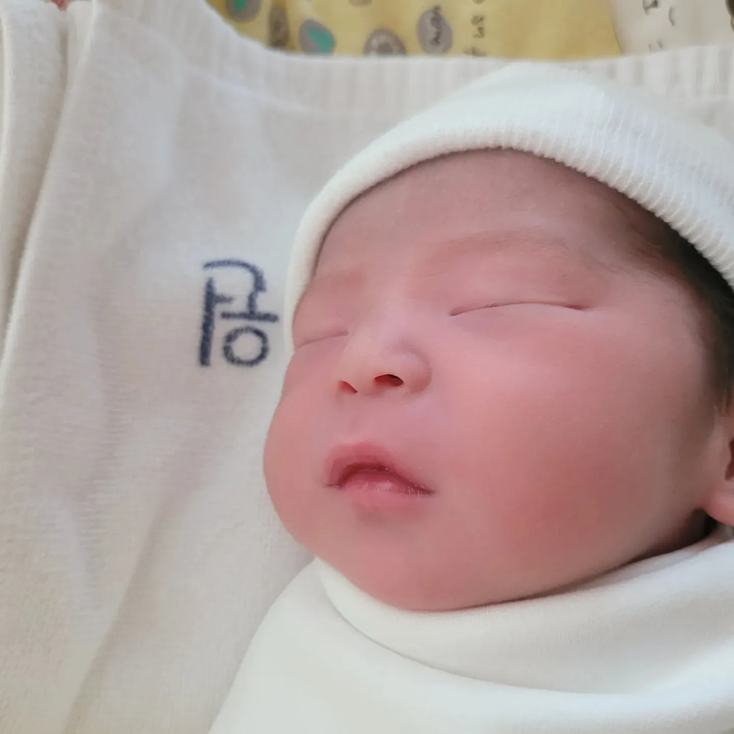 버블이 건강히 태어났습니다