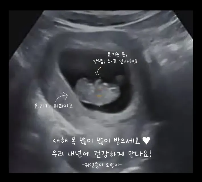 다들 새해 복 많이 받으세요