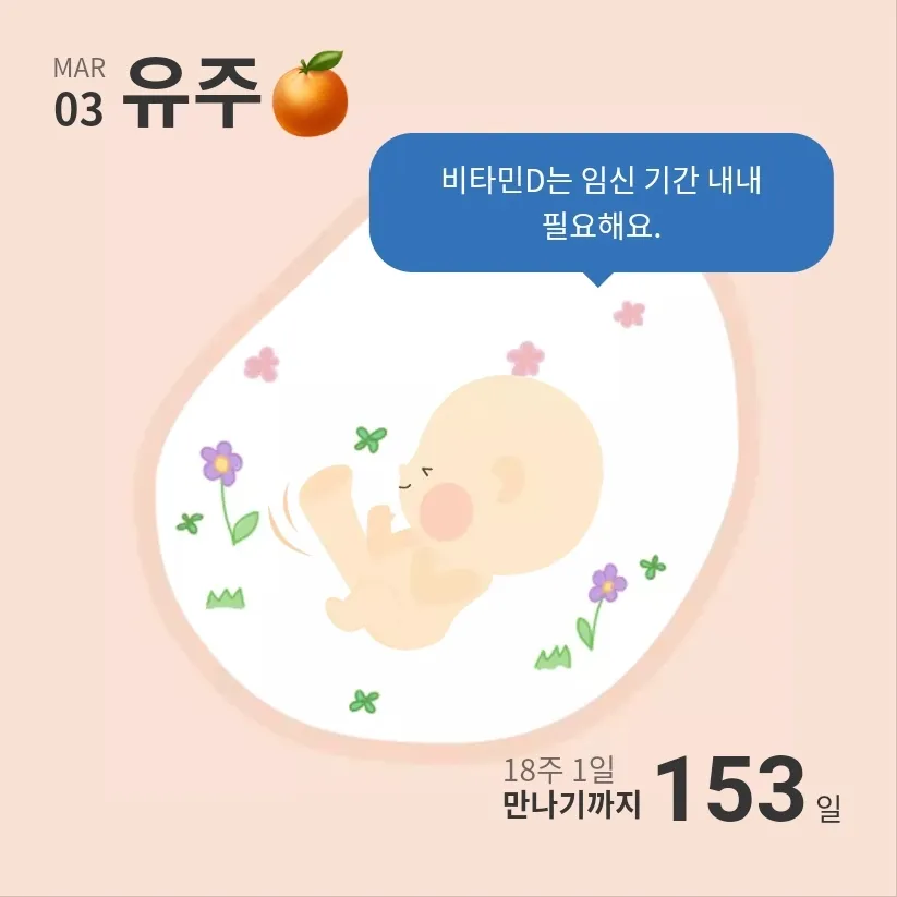 18주차, 배가 너무 빵빵해지는 느낌