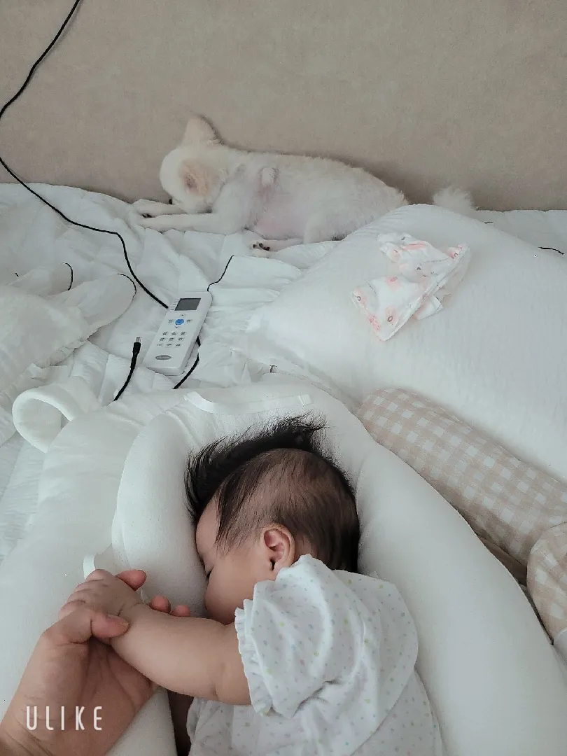 먹놀잠???.누워서 분유먹는 아가