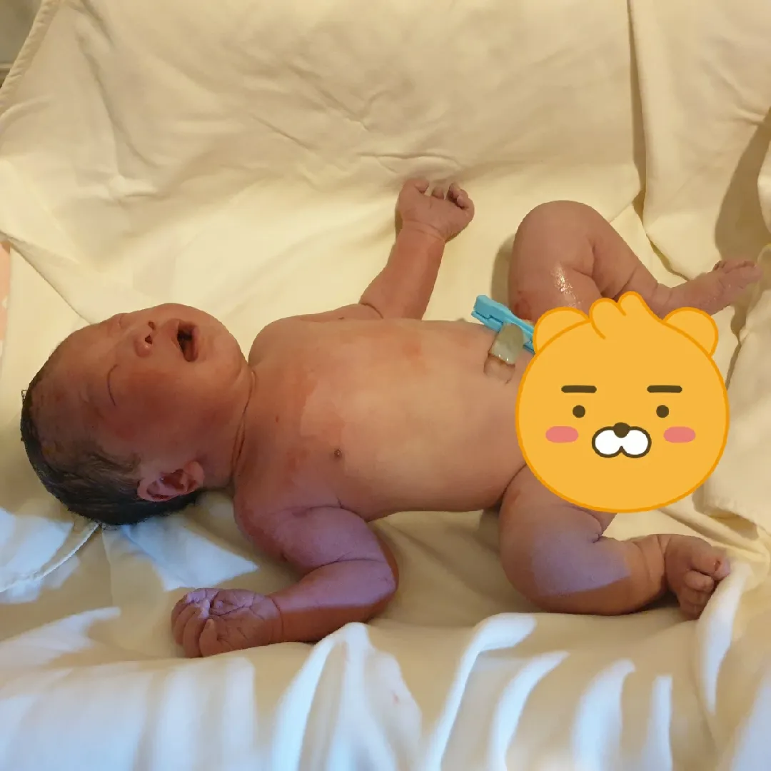 초산/자분/8시간 생생후기(길고 김)