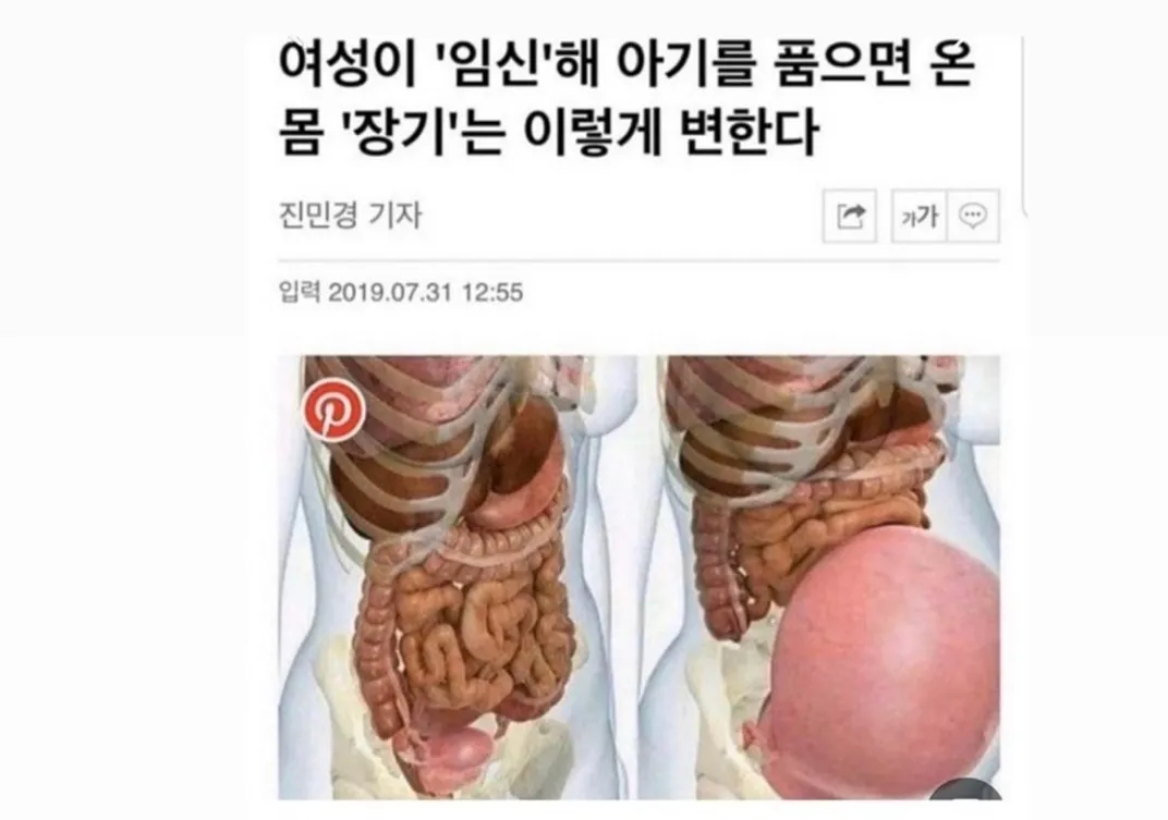 배가불러오면서 뱃속변화😂