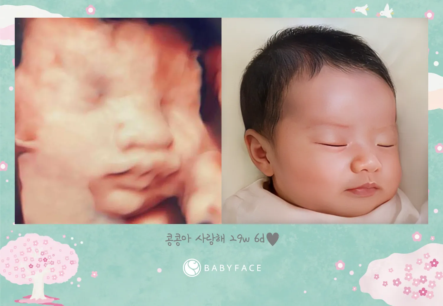 베이비페이스 해봤어요