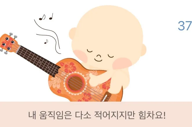 37주 허리, 무릎 흔들흔들 손저림 골반통증