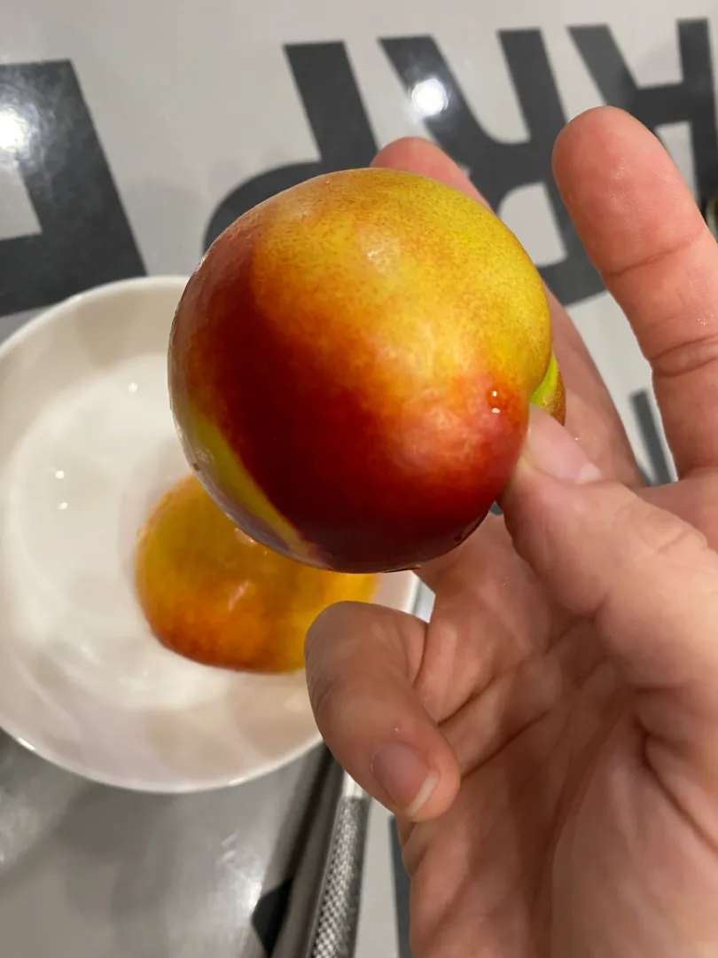 복숭아가 이제 나와요!!