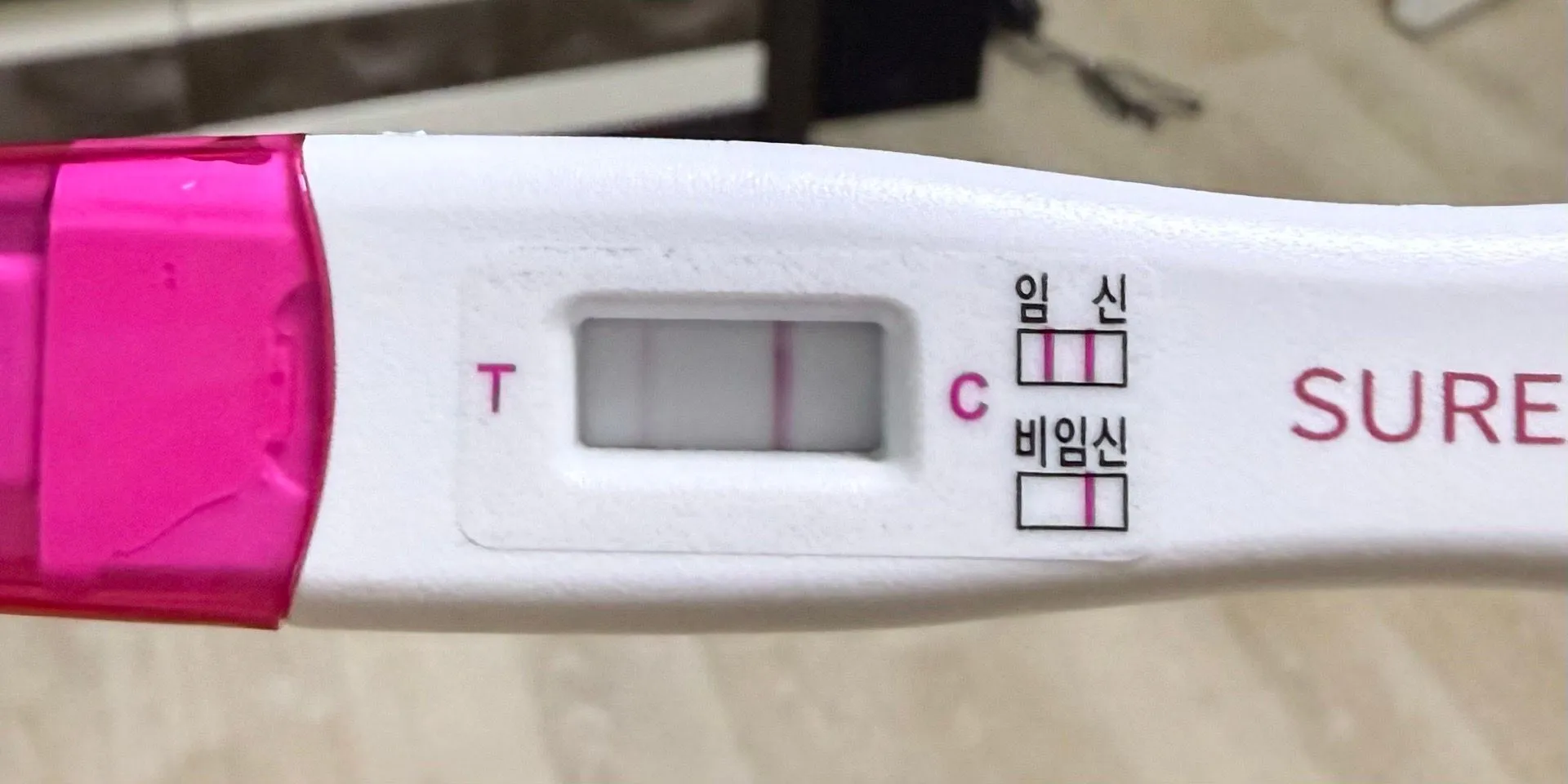 임테기 2줄