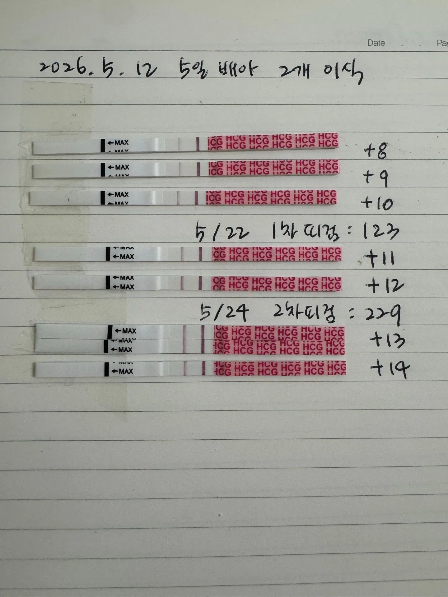 2차피검 통과, 집들이 전 임테기 정체