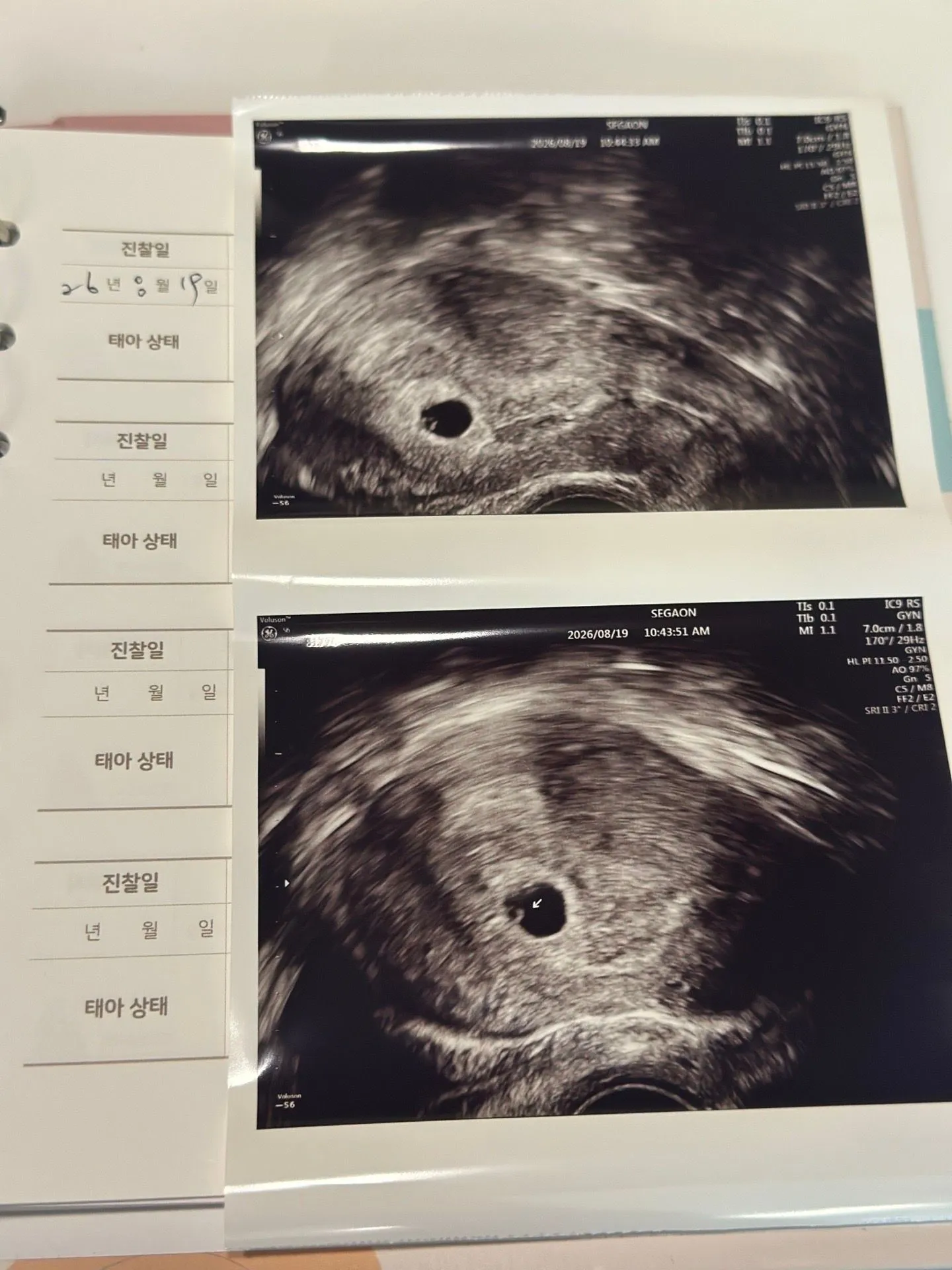 5주3일 집들이 다녀왔어여:)