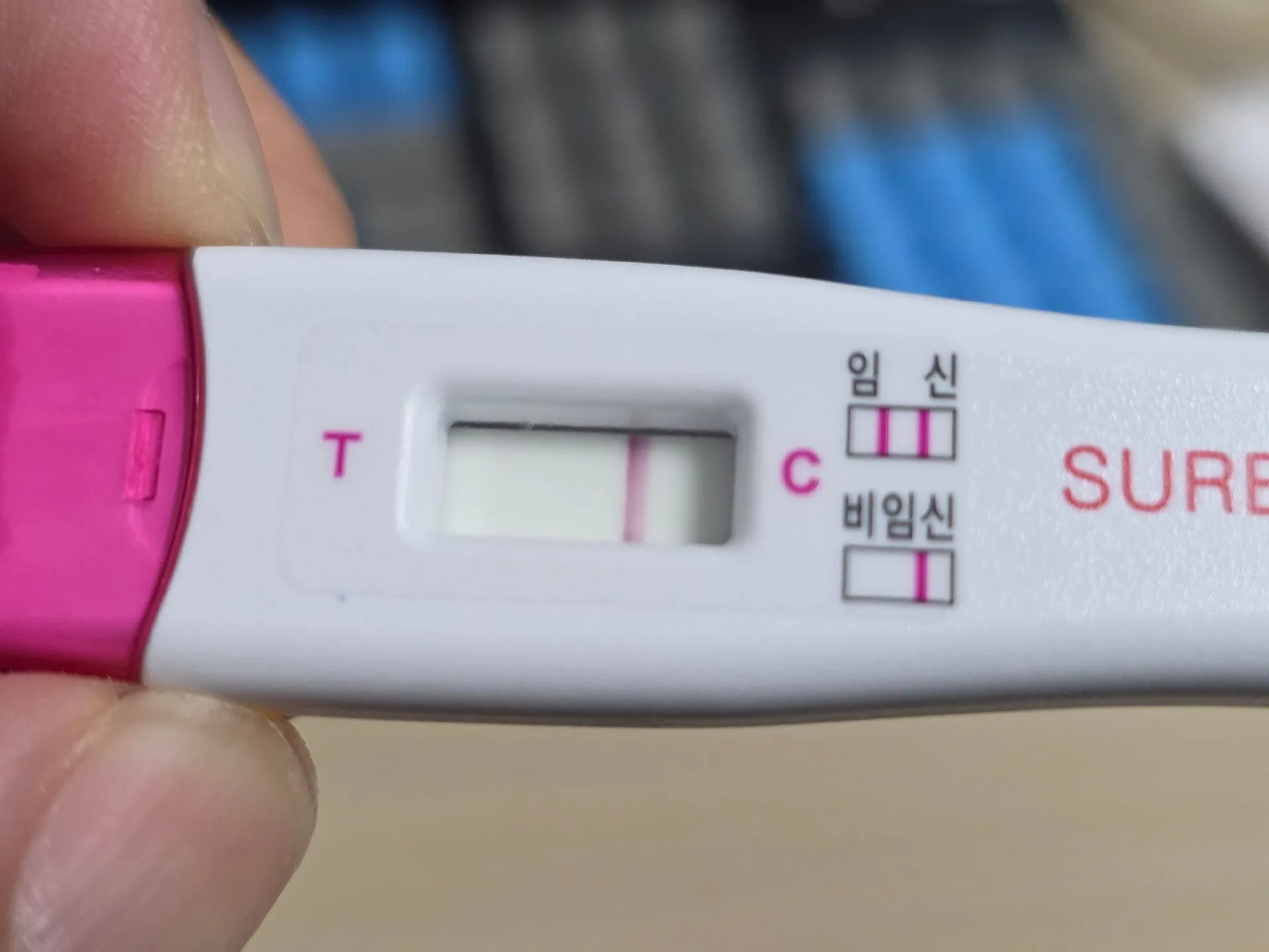 보이시나요?