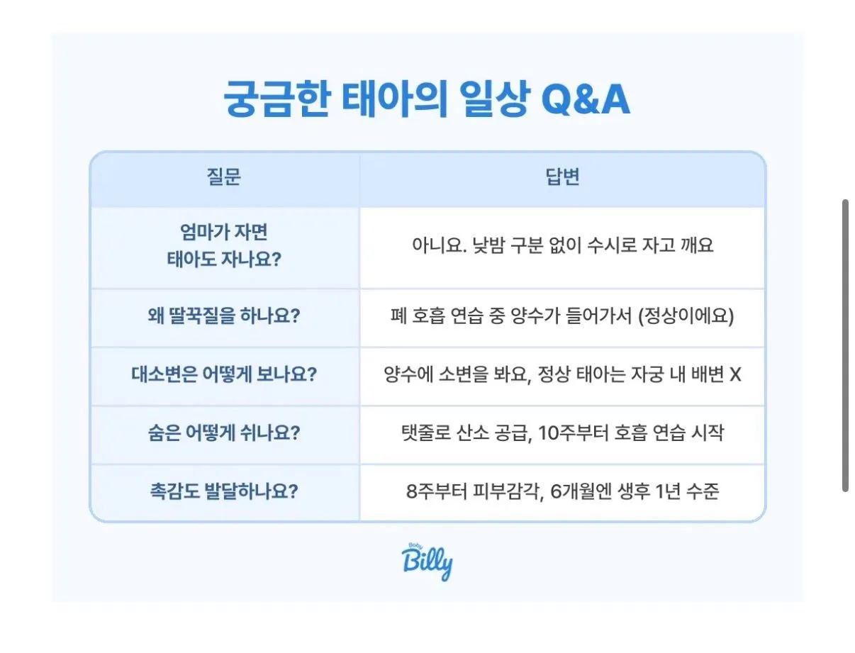 애기가 배속에서 딸꾹질 하던 느낌 좋은데 ㅎㅎ