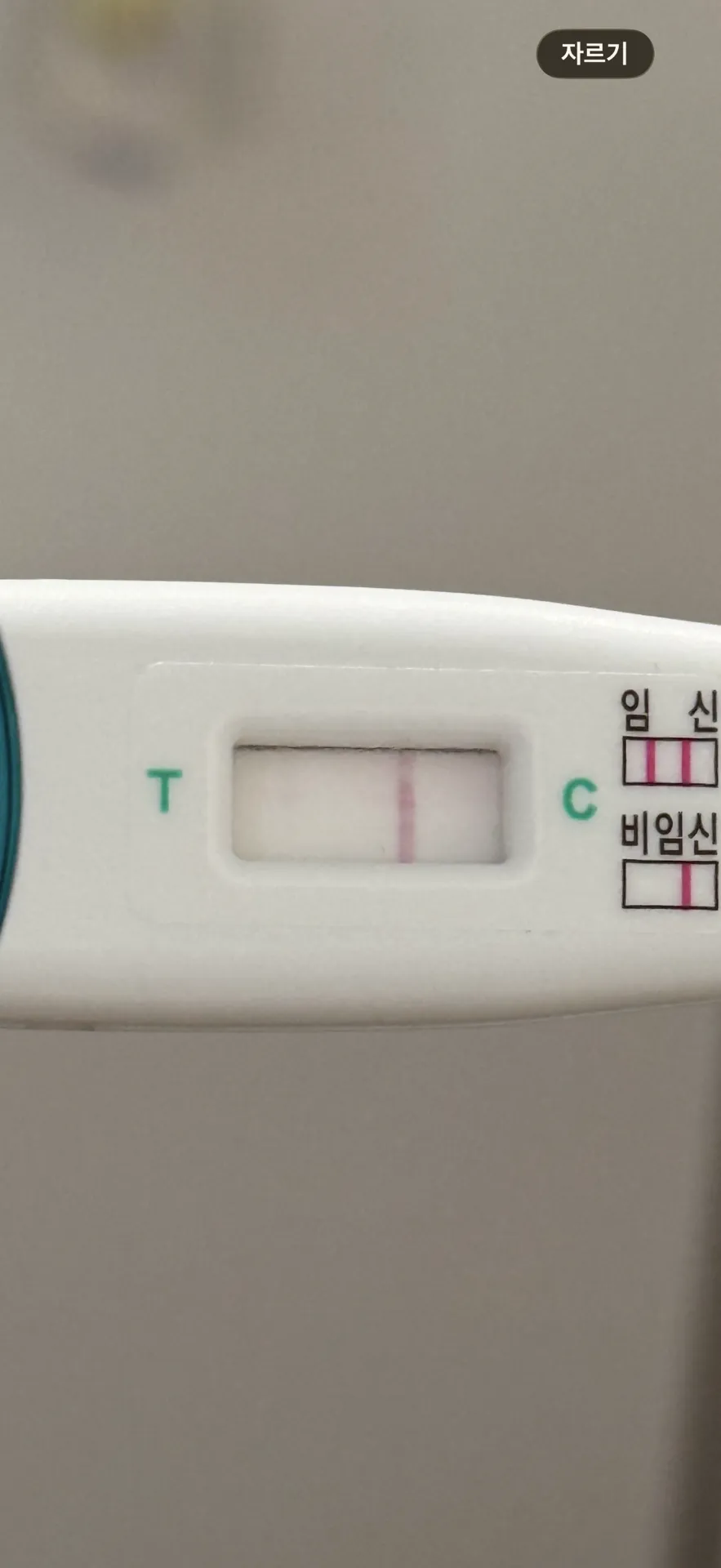 임테기 봐주세요🥹 2
