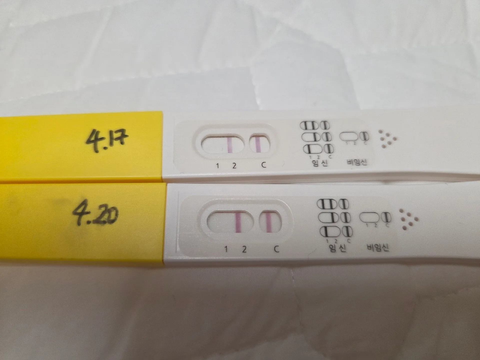 4주5일차 오늘 집들이가능할까요?