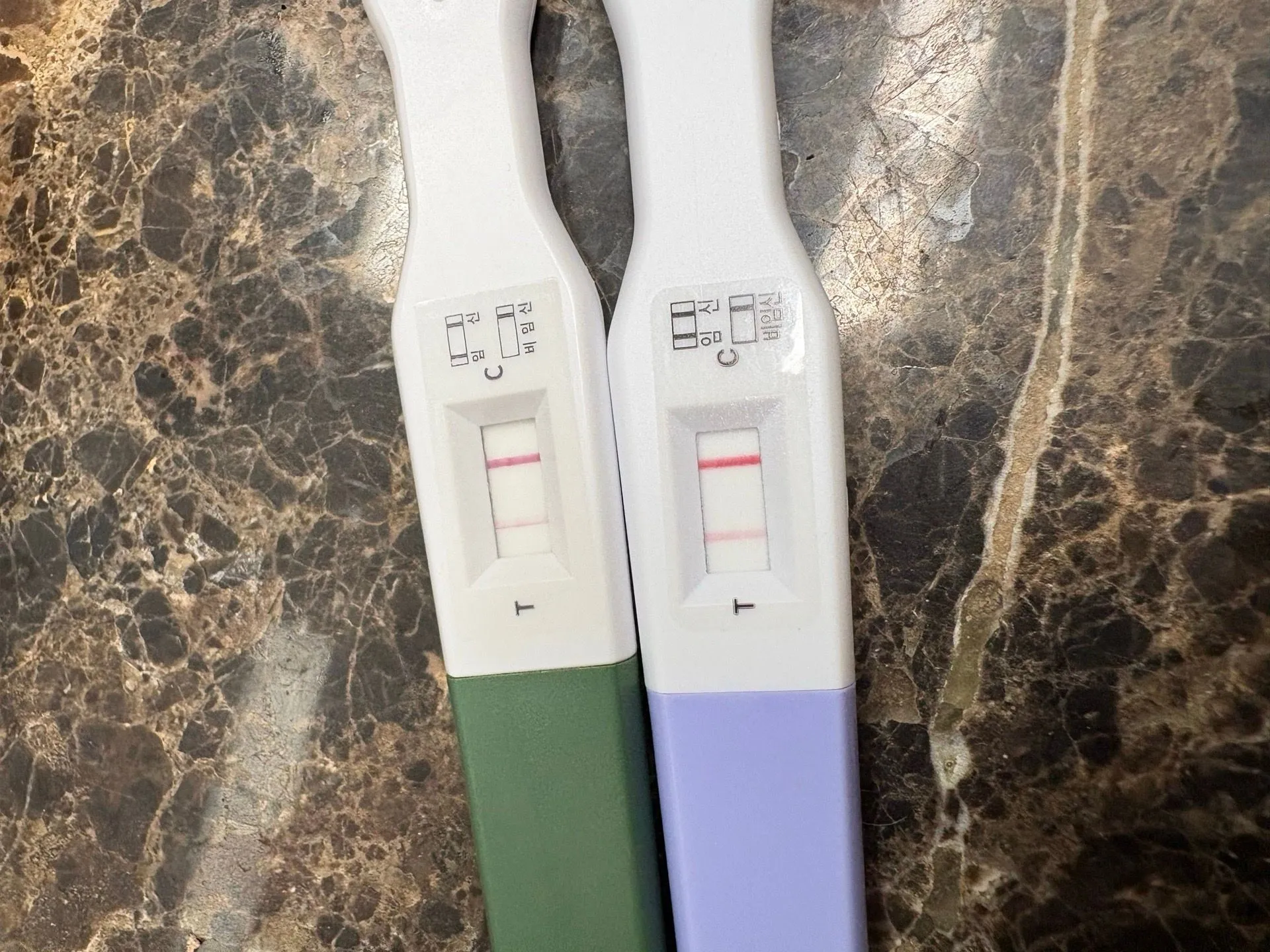임신 맞을까요?