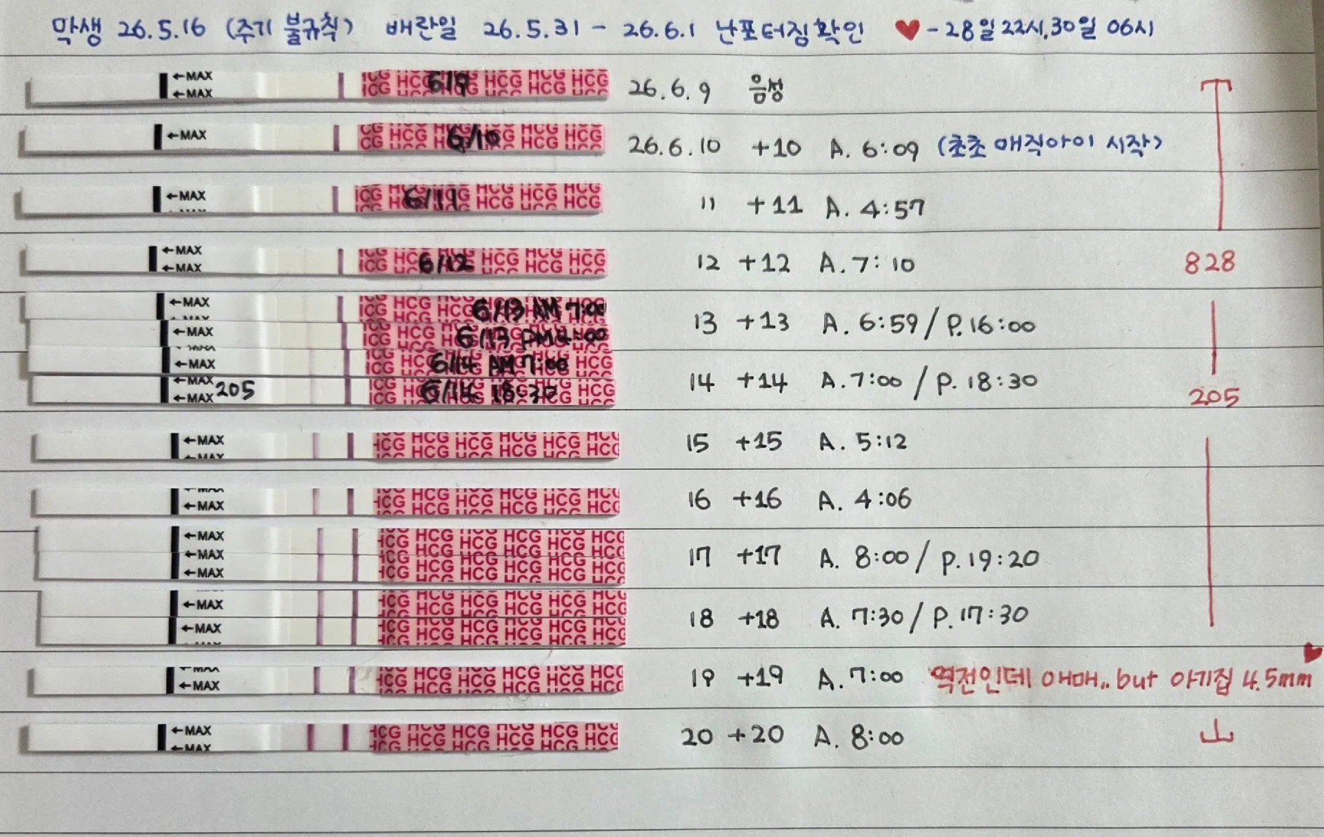 배란19일차 역전없이 아기집🫶❤️(유산1회경험,아기집4.5mm) 2
