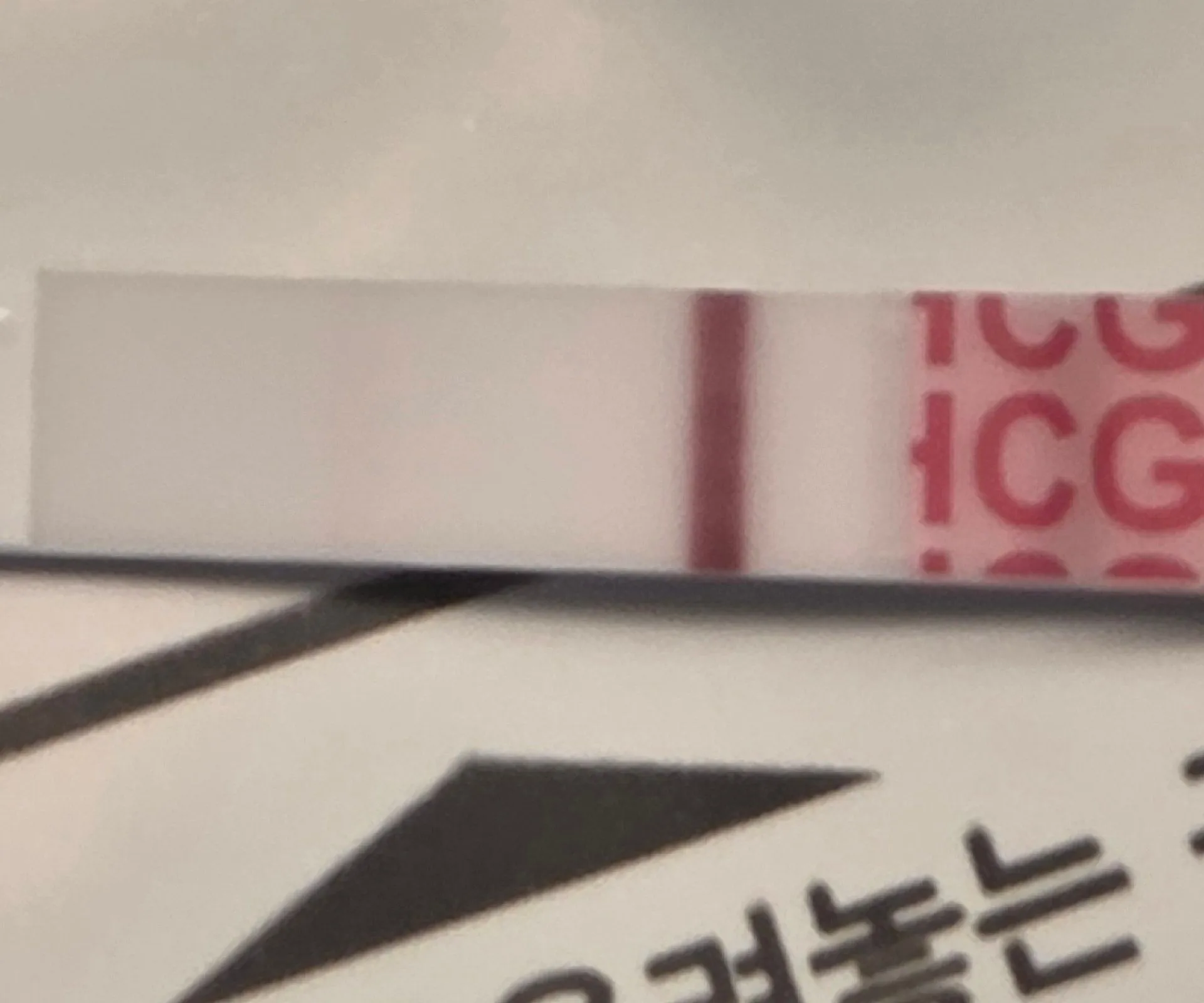배란 10일차 임테기 2
