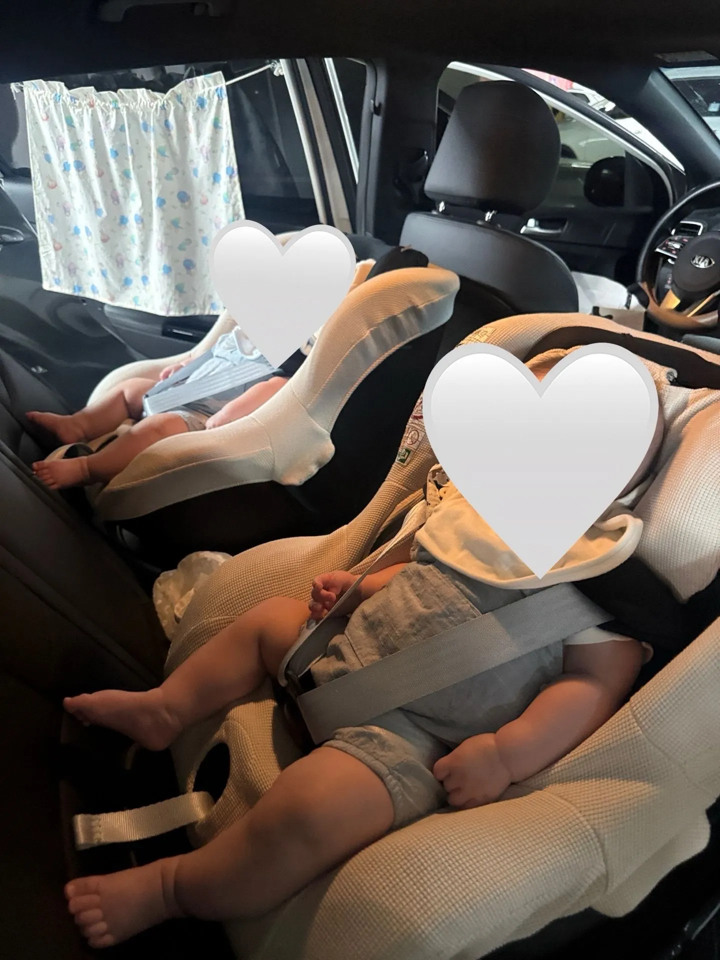 쌍둥이 카시트 추천 ➡️ 브라이텍스 듀얼픽스 PRO👍 3