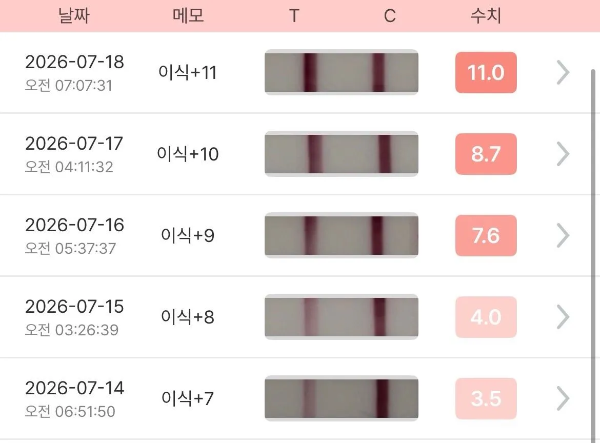 5일배아 이식12일차 임테기 역전