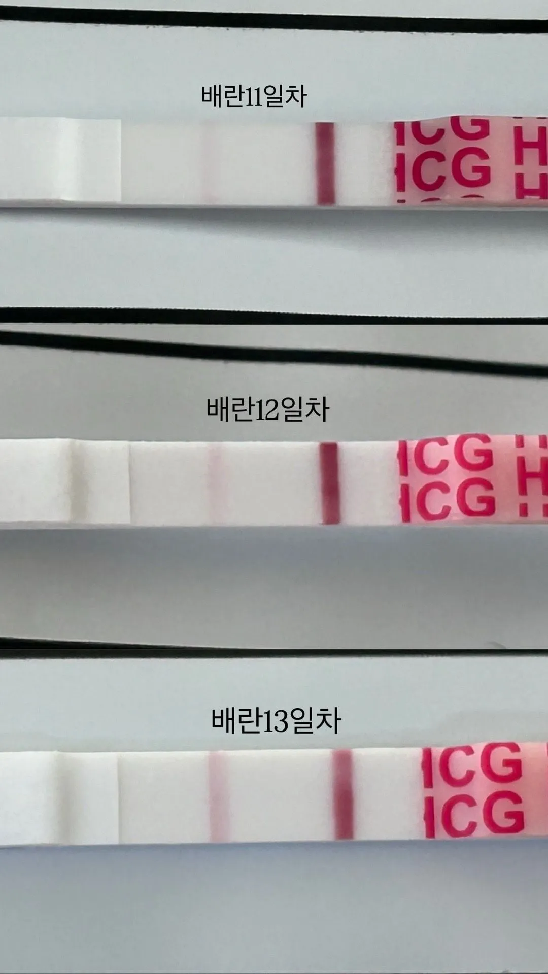 진하기 잘 진해지고 있는걸까오!? 1