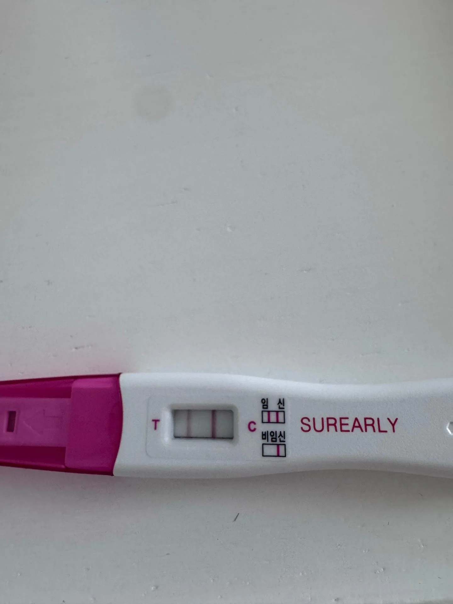 임테기 두줄
