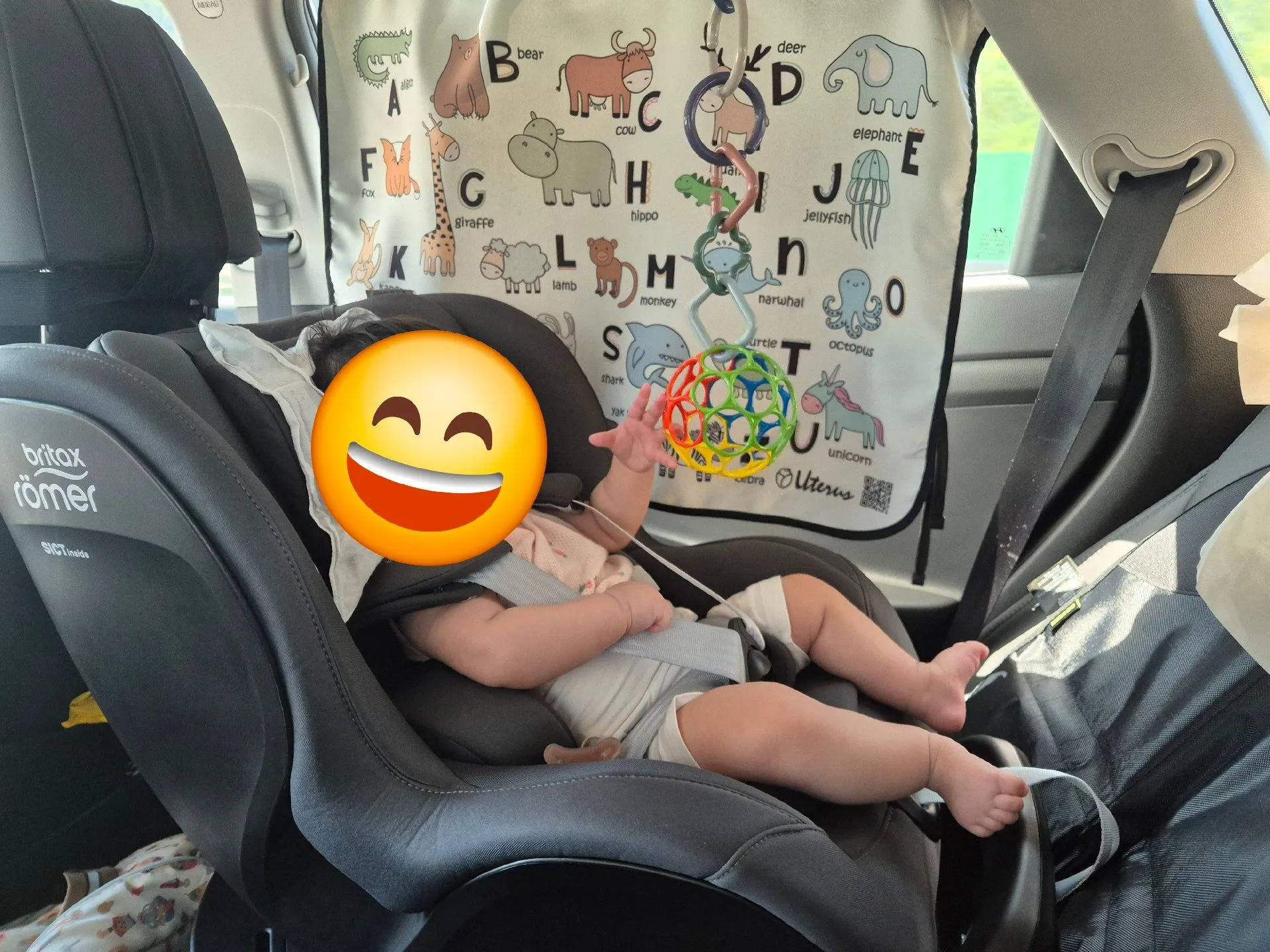 브라이텍스 듀얼픽스 프로 내돈내산 후기 3
