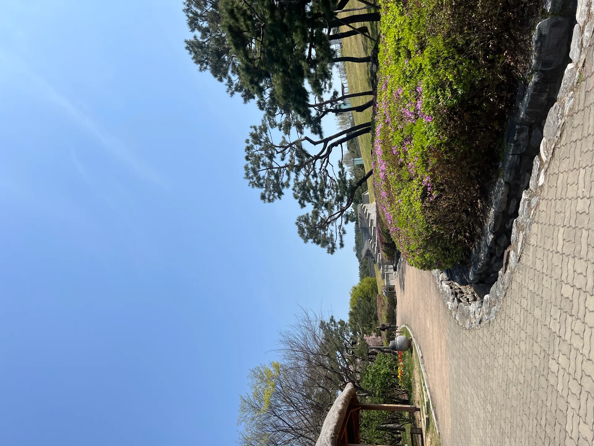 36주 산책 얼마나 하시나용