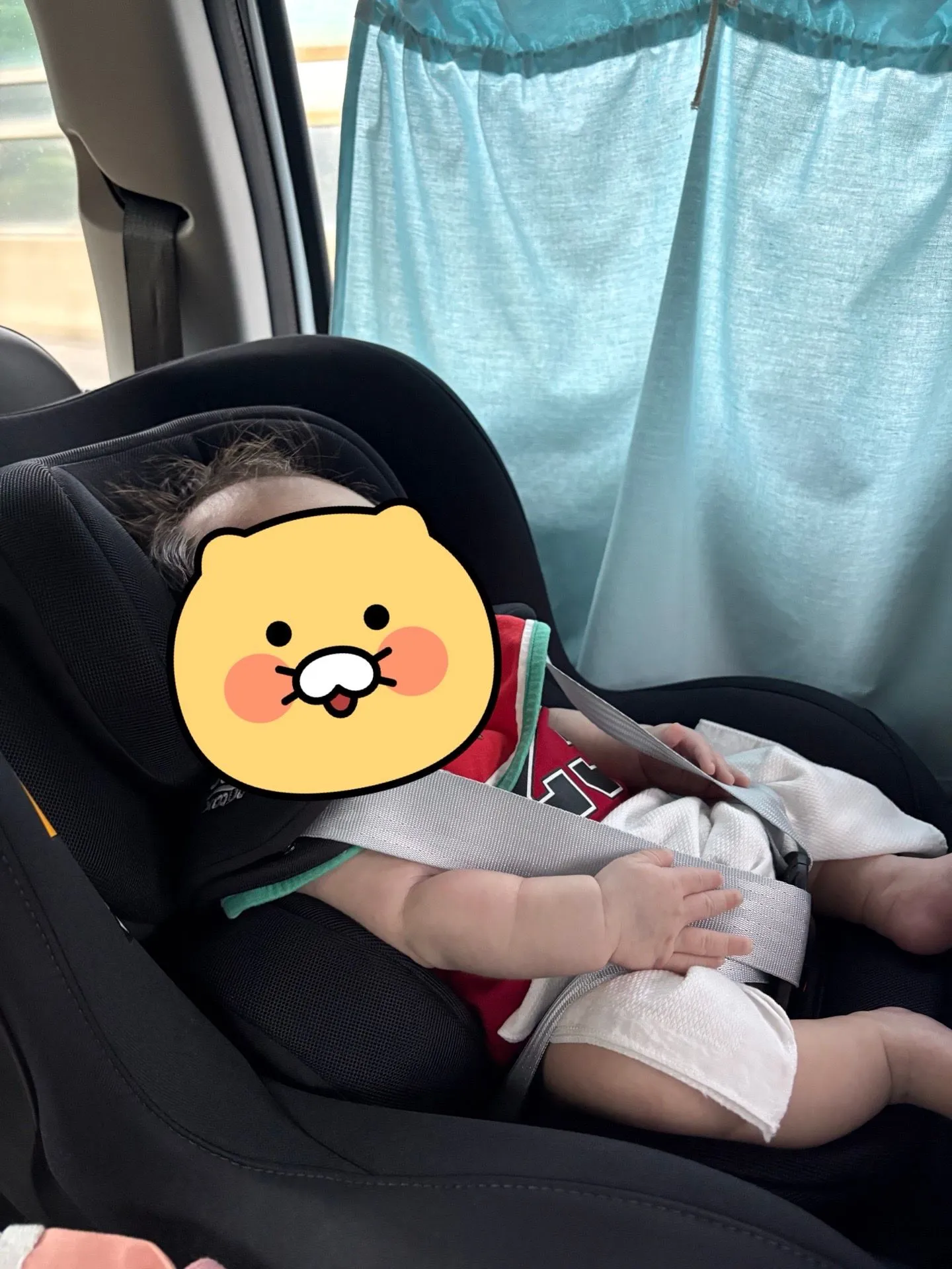 브라이텍스 듀얼픽스프로 카시트 후기 3