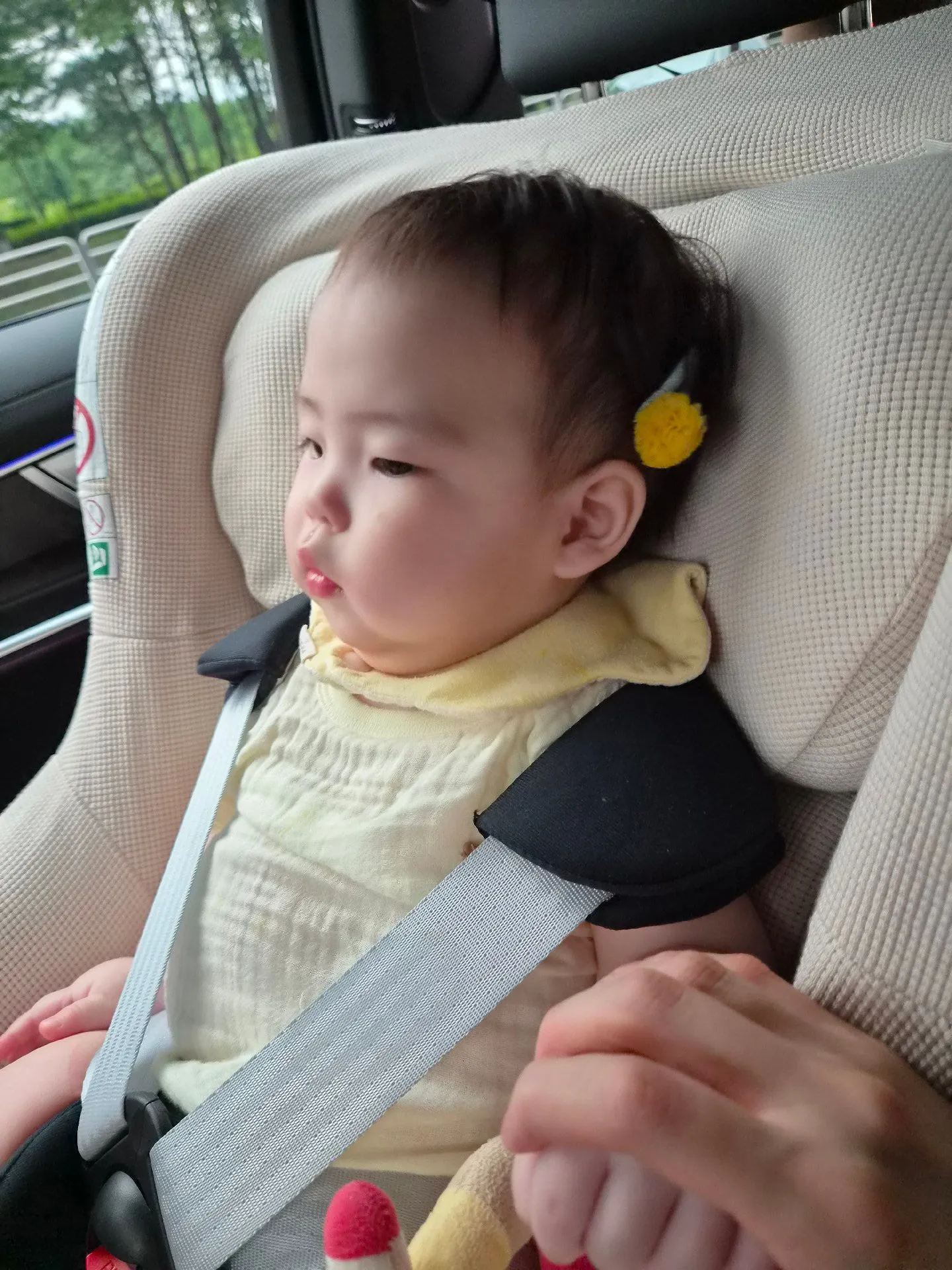 브라이택스 듀얼픽스프로 신생아카시트 내돈내산 3