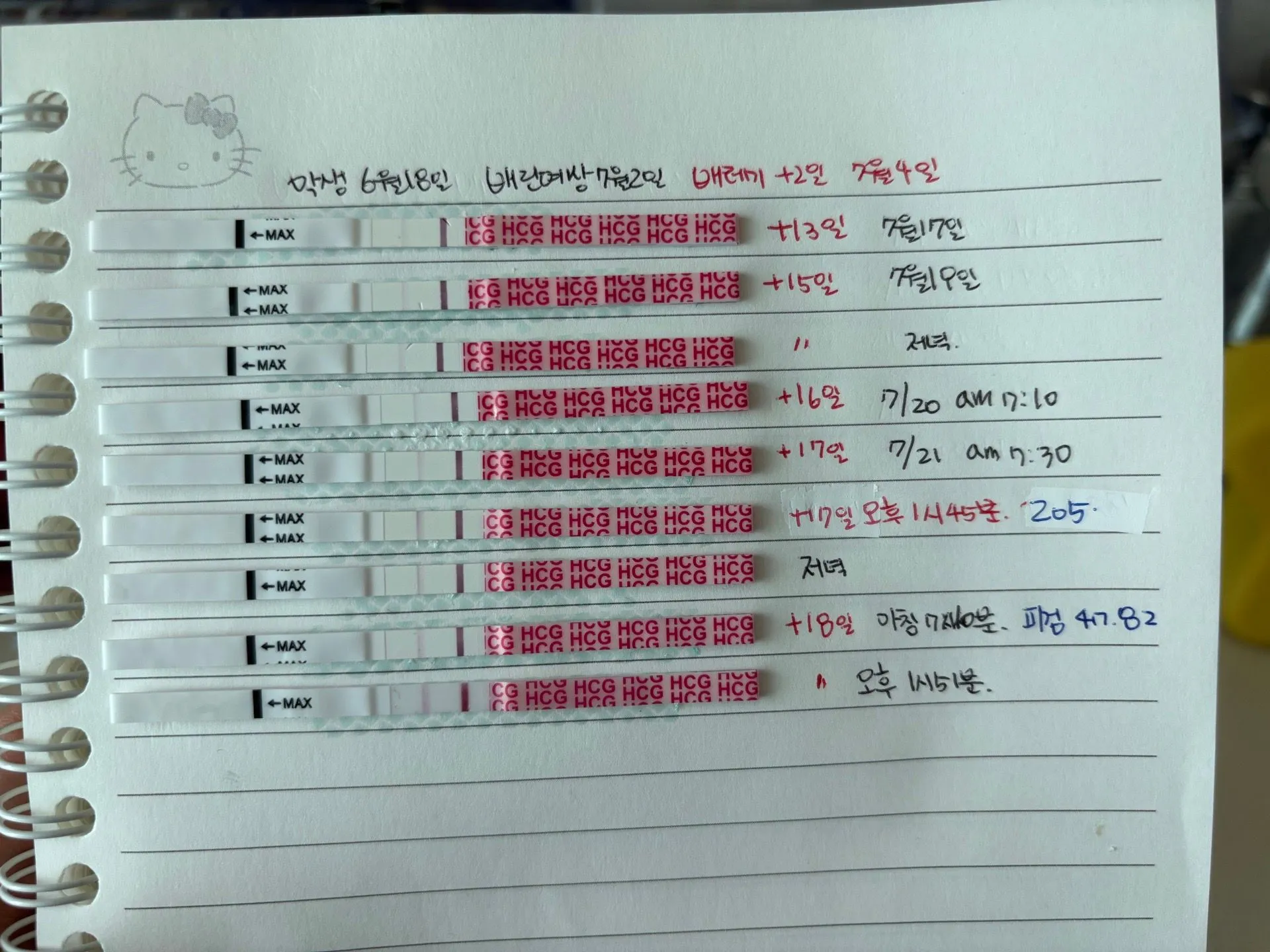 배란18일차 