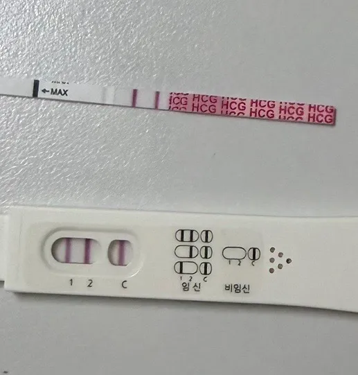 마미들 오늘 난황도 보일까요?