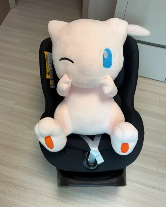 카시트 브라이텍스 듀얼픽스 프로 그랜저 장착 후기 1