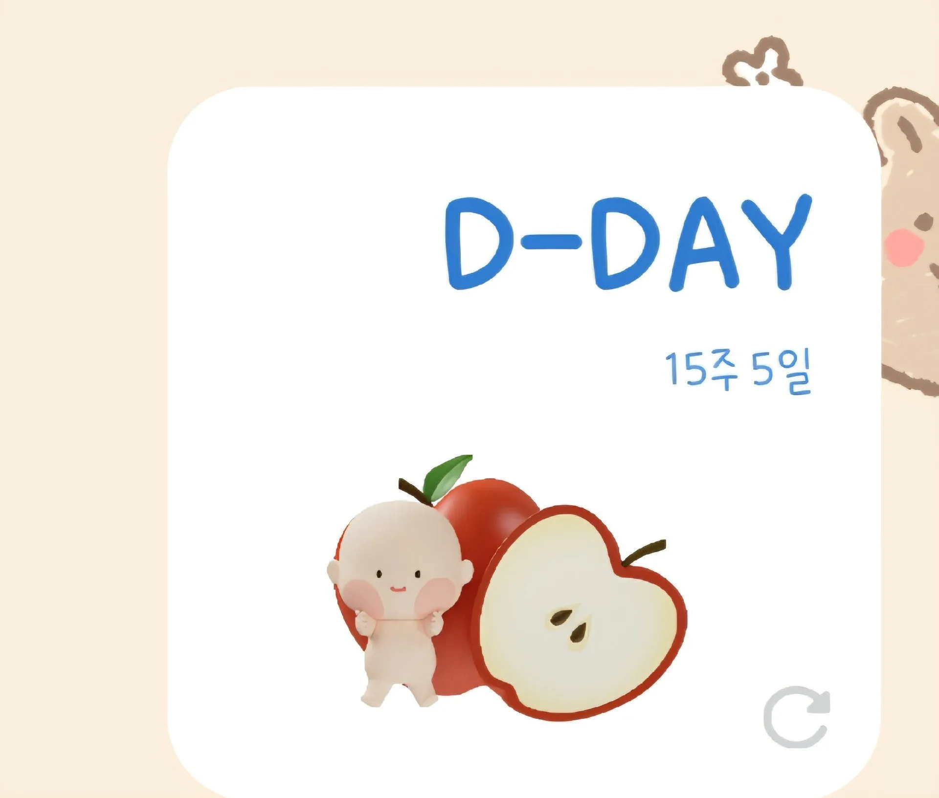 베이비빌리 위젯