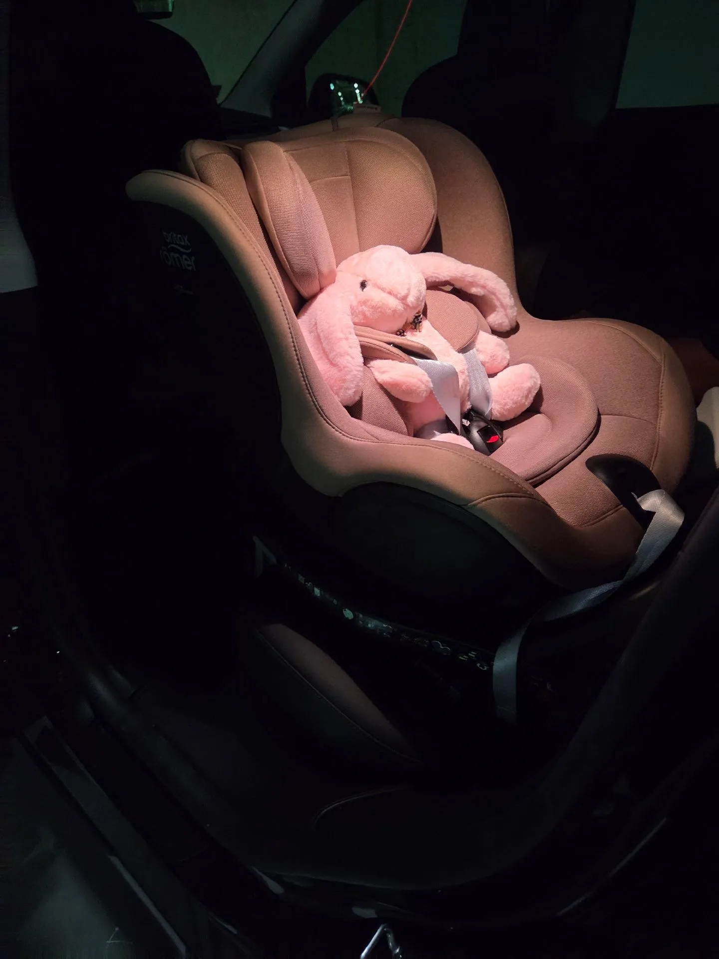 36주 임산부에 브라이텍스 듀얼픽스 프로 구매 후기! 5